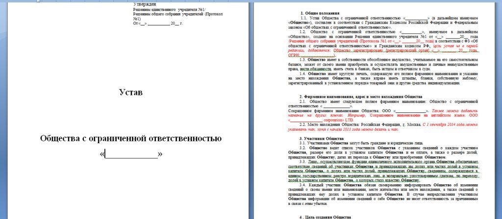 Образец устава ооо с одним учредителем 2023 год